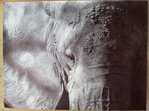 Original photo by Scott Stulberg. Pen on 18x24" paper.